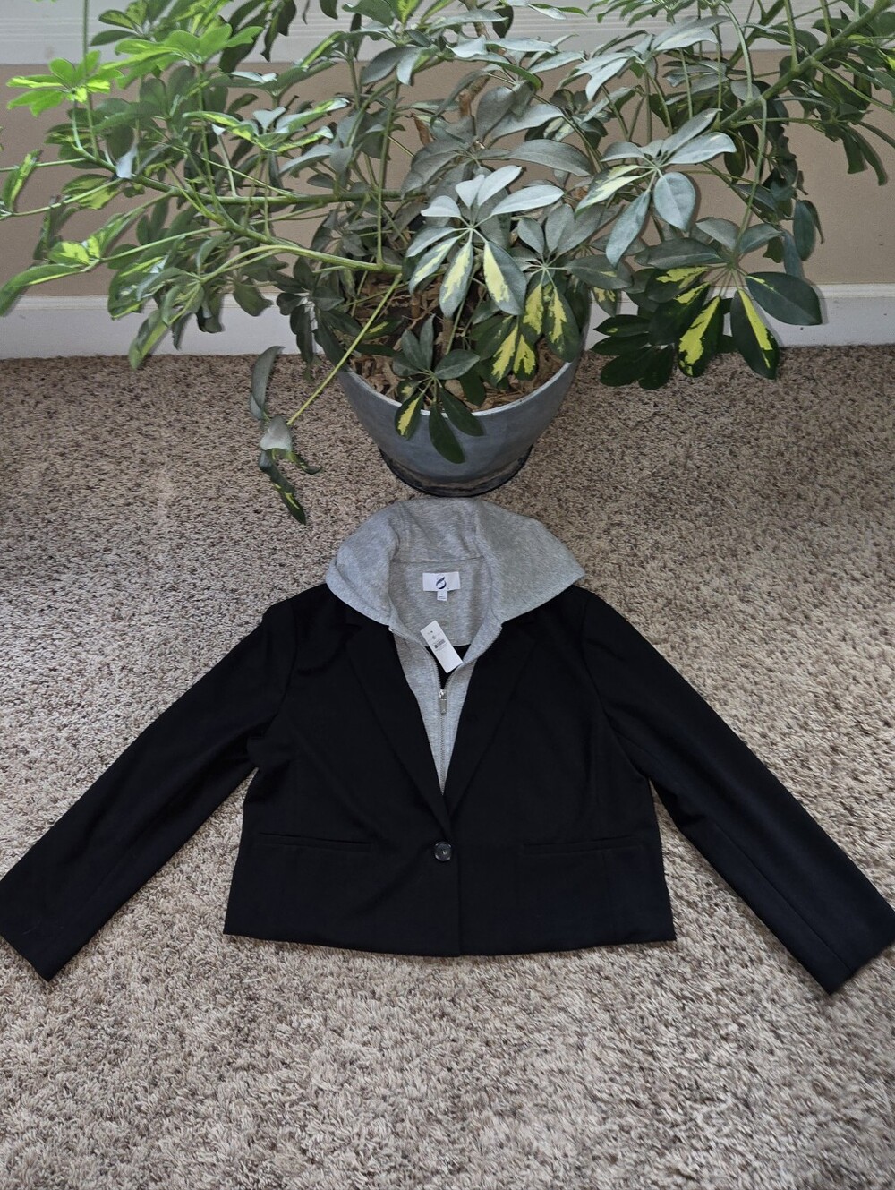 NWT Lou &Grey Hooded Blazer Jacket Sz Lg